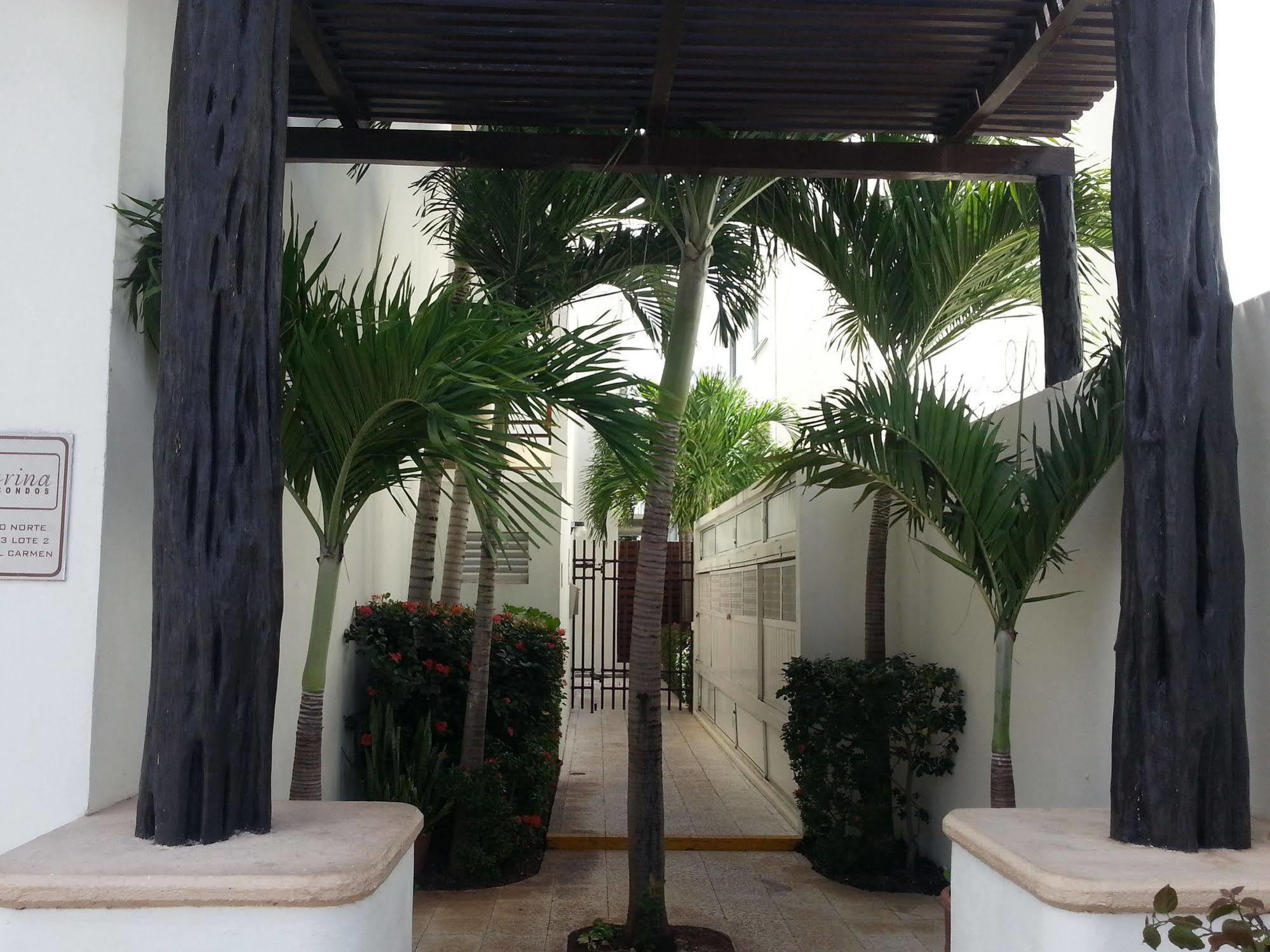 Vida Nueva Bed&Breakfast Peregrina Playa del Carmen Zewnętrze zdjęcie